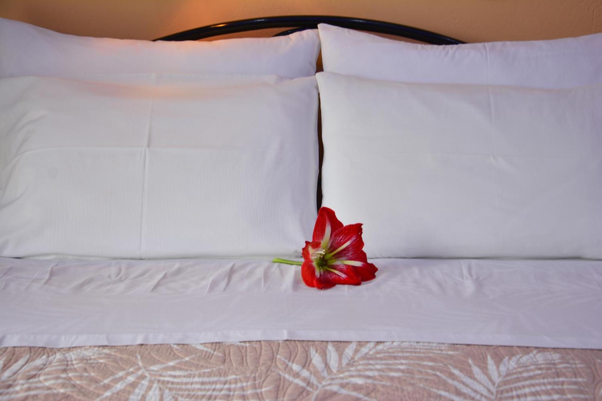 Corfu Dream Fani Apartment Ipsos Ngoại thất bức ảnh